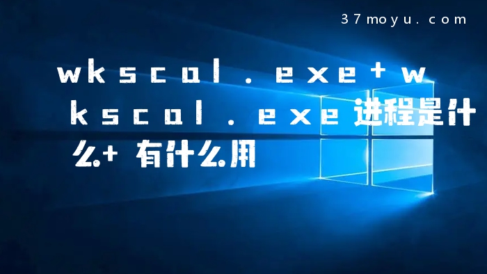 wkscal.exe wkscal.exe