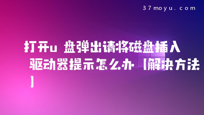 打开u盘弹出请将磁盘插