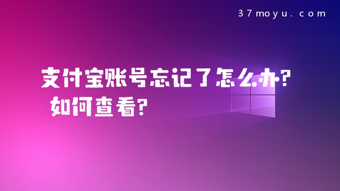 支付宝账号忘记了怎么办