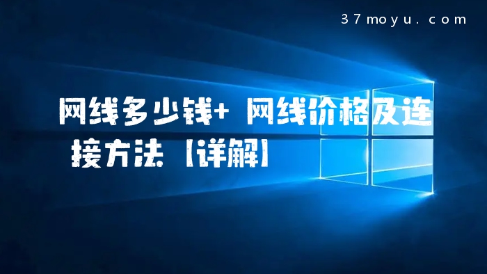 网线多少钱 网线价格及