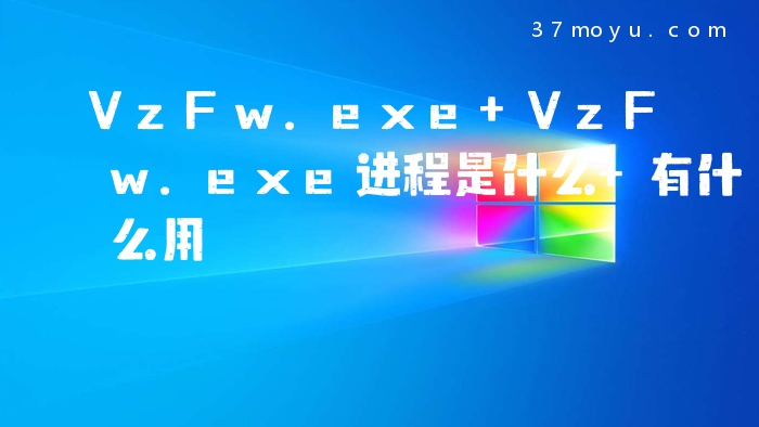 VzFw.exe VzFw.exe进程