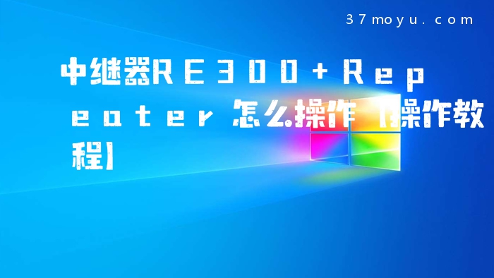 中继器RE300 Repeater怎