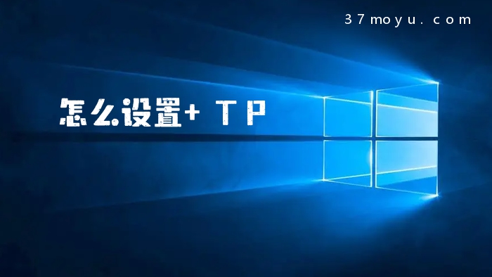 怎么设置 TP