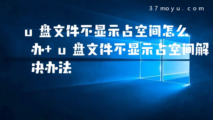 u盘文件不显示占空间怎