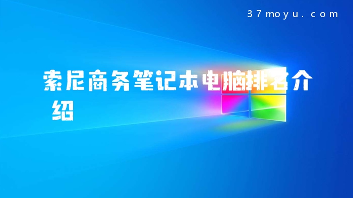 索尼商务笔记本电脑排名