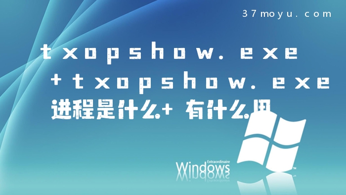 txopshow.exe txopshow.
