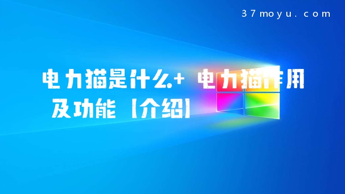 电力猫是什么 电力猫作