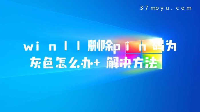 win11删除pin码为灰色怎
