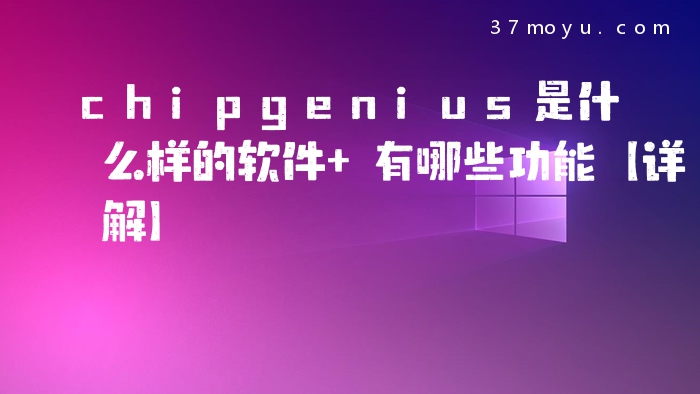 chipgenius是什么样的软