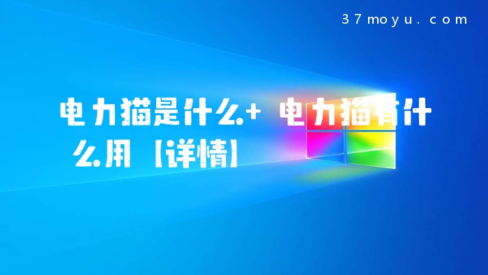电力猫是什么 电力猫有