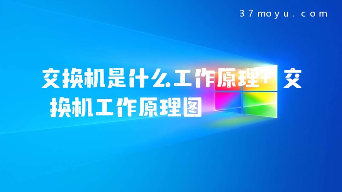 交换机是什么工作原理 