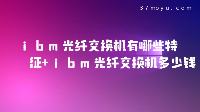 ibm光纤交换机有哪些特